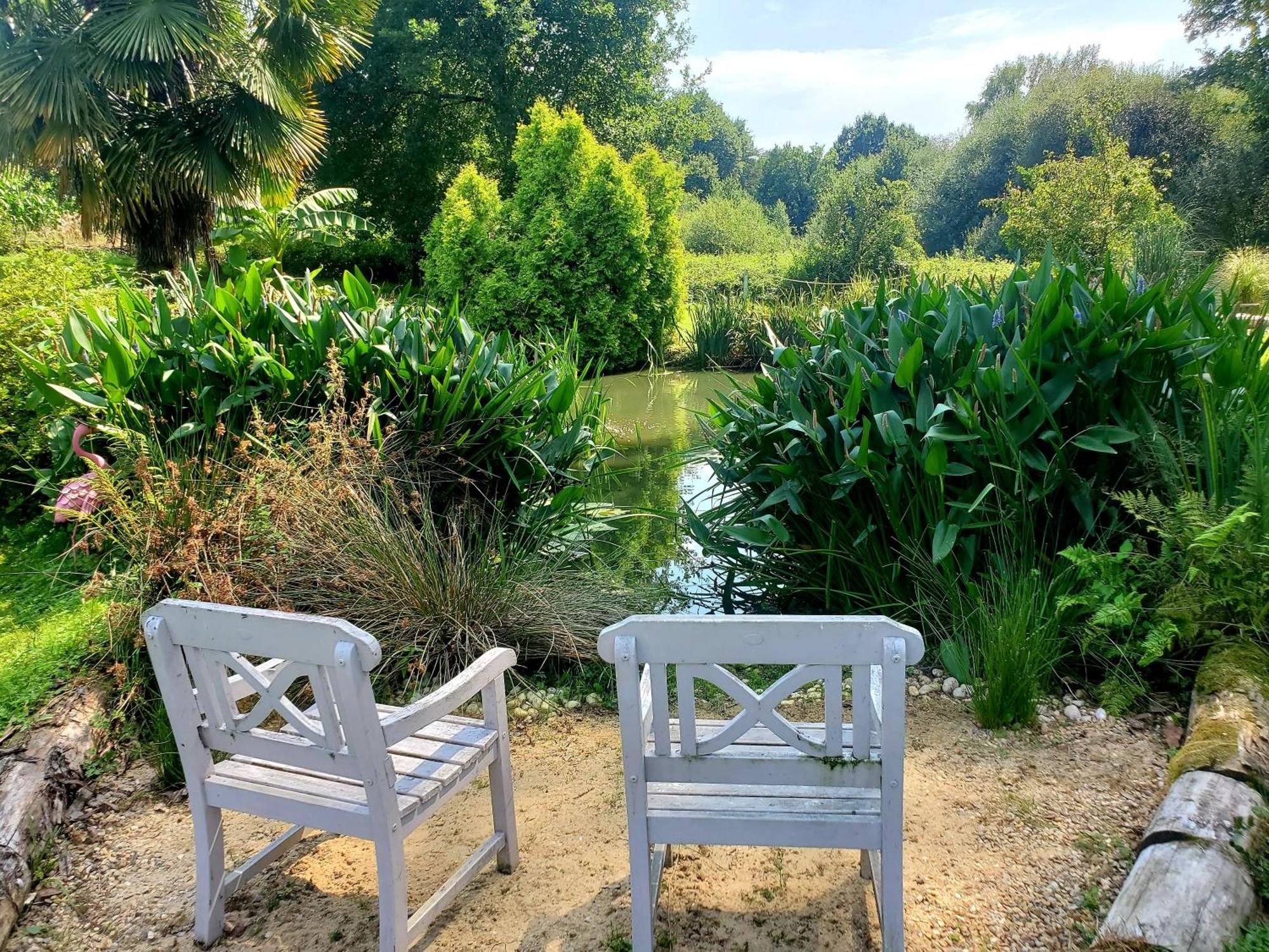 Le Vieux Moulin Gites - Detached Cottage With Garden Views And Pool Guégon Esterno foto